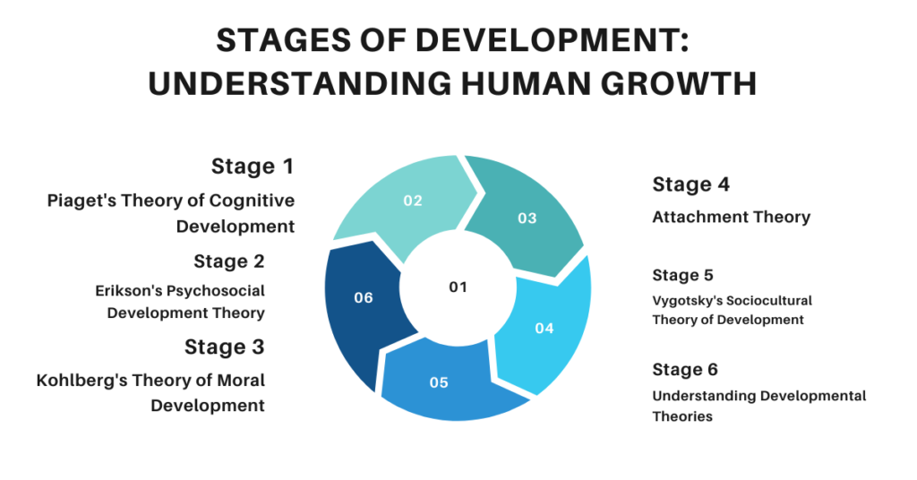 Stages of Development: Understanding Human Growth